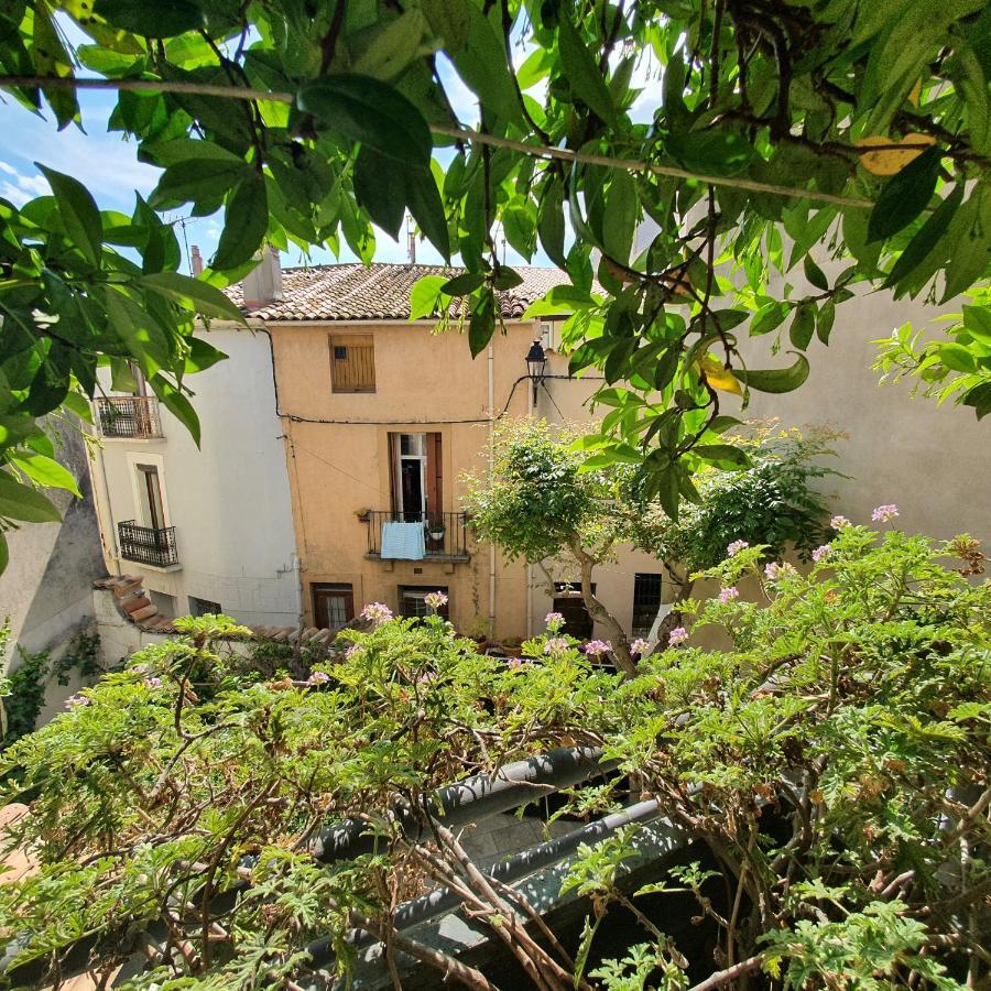 Maison Capucine メーズ エクステリア 写真